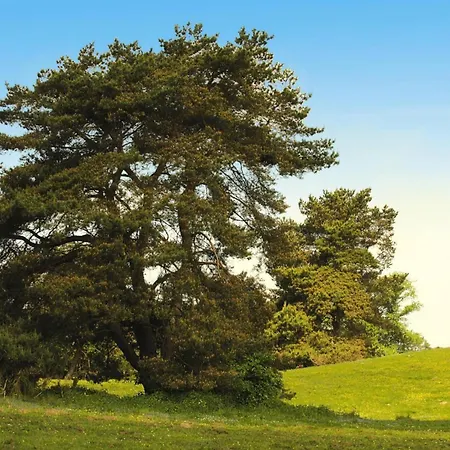 Am Garder Mit Panorama *