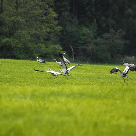 Am Garder Mit Panorama Semesterbostad *