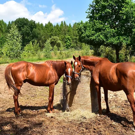 Semesterbostad Am Garder Mit Panorama