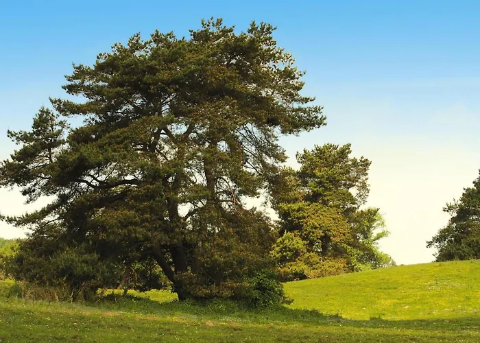 Am Garder Mit Panorama *
